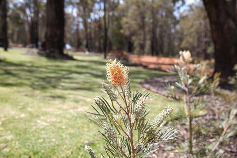 Amaroo Retreat & Spa - Holiday Find 19