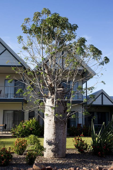 Freshwater East Kimberley Apartments - Holiday Find 18