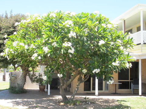 Kalbarri Riverfront Unit - Holiday Find 6