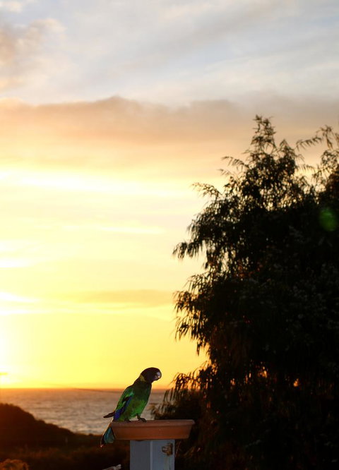 Peppy Beach Ocean Views - Holiday Find 12