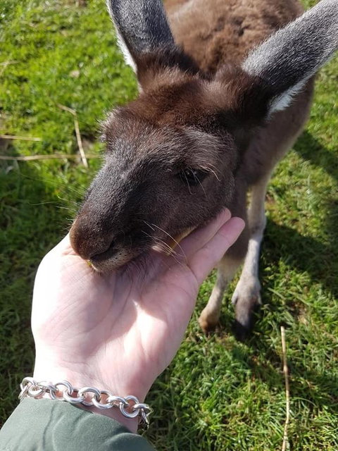 Balingup Highview Chalets - Holiday Find 12