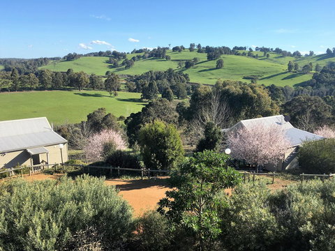 Balingup Highview Chalets - Holiday Find 5