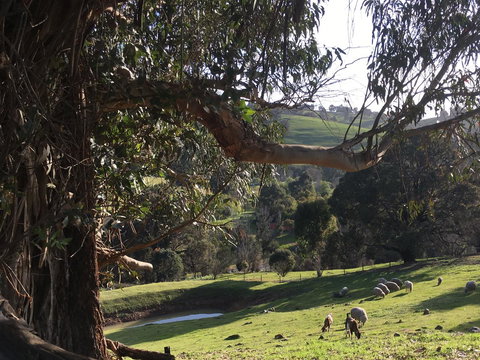 Balingup Highview Chalets - Holiday Find 13