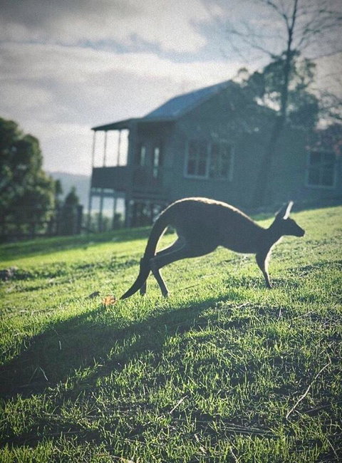 Balingup Highview Chalets - Holiday Find 10