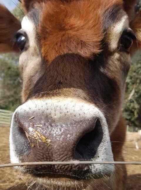 Balingup Highview Chalets - Holiday Find 14