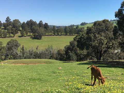 Balingup Highview Chalets - Holiday Find 23