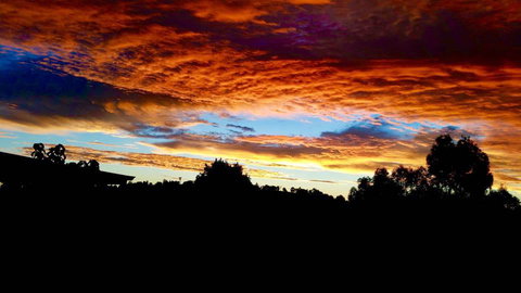 Balingup Highview Chalets - Holiday Find 29