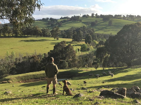 Balingup Highview Chalets - Holiday Find 27