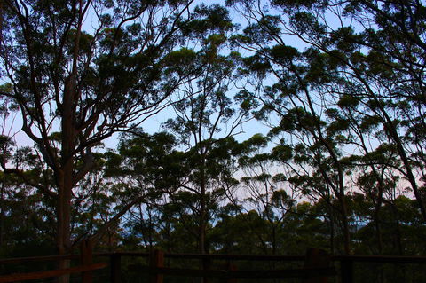 Ark Of Denmark - Holiday Find 27