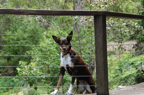 Ark Of Denmark - Holiday Find 10
