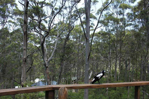 Ark Of Denmark - Holiday Find 11