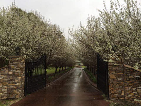 Nivalis Bed And Breakfast - Holiday Find 25