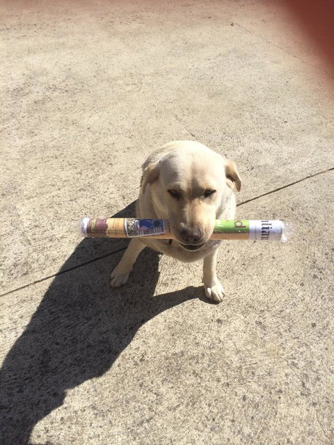 Nivalis Bed And Breakfast - Holiday Find 6