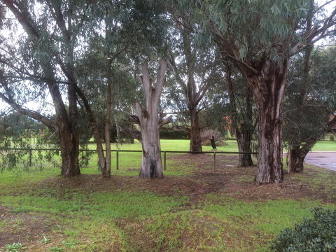 Nivalis Bed And Breakfast - Holiday Find 29