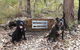Jarrah Grove Forest Retreat - thumb 23