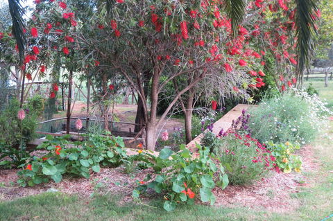 Bentwood Olive Grove Accommodation - Holiday Find 21
