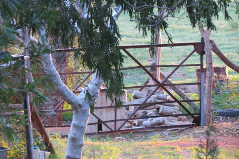 Bentwood Olive Grove Accommodation - Holiday Find 25