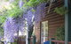 RoseMoore Bed & Breakfast - thumb 11
