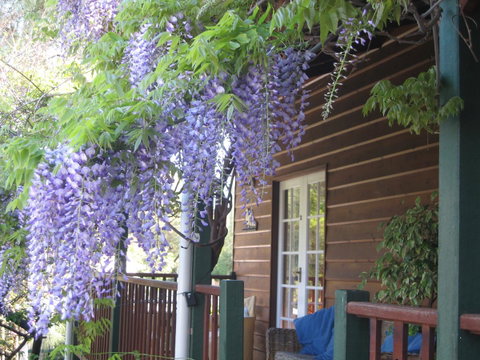 RoseMoore Bed & Breakfast - Holiday Find 11
