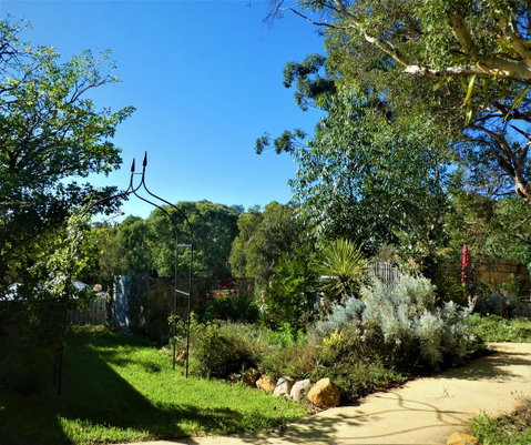 Treetops Cottage - Holiday Find 14