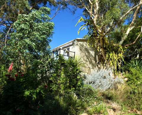 Treetops Cottage - Holiday Find 13