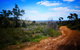 Treetops Cottage - thumb 35