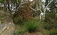 Treetops Cottage - thumb 26