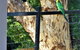 Treetops Cottage - thumb 27