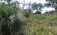 Treetops Cottage - thumb 36