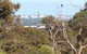 Treetops Cottage - thumb 38