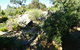 Treetops Cottage - thumb 11