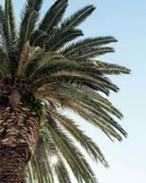 Best Western Plus Hotel Lord Forrest - Holiday Find 8