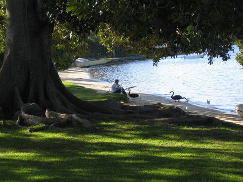 Garden Studio In Cottesloe - Holiday Find 11