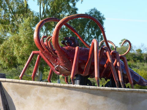 Leander Reef Holiday Park - Holiday Find 4