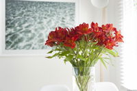 Book Kingston Beach Accommodation Vacations Holiday Find Holiday Find