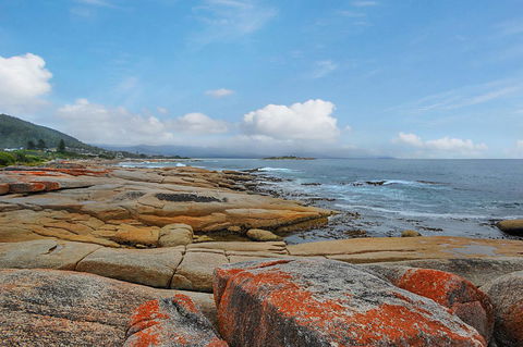 Harvey Farm Lodge - Holiday Find 2