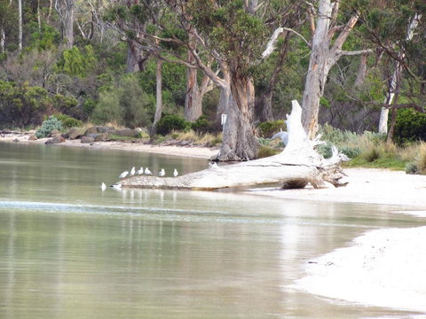 The Boat Shed - Holiday Find 12