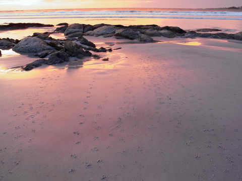 Beachend Bicheno - Holiday Find 2