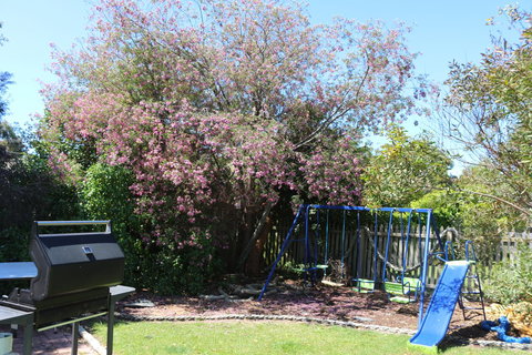 Sisters Beach Paradise - Holiday Find 9