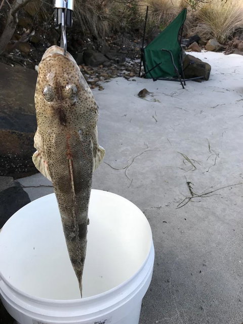 Summertime Cottage - Holiday Find 6