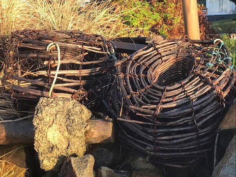 Summertime Cottage - Holiday Find 4