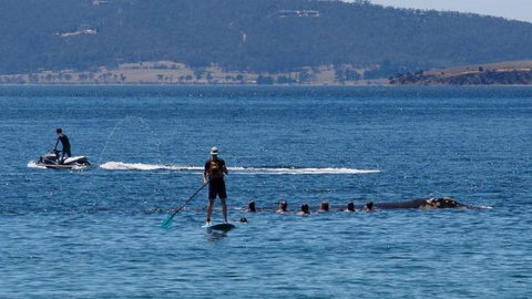 The Ultimate Beach House - Holiday Find 19