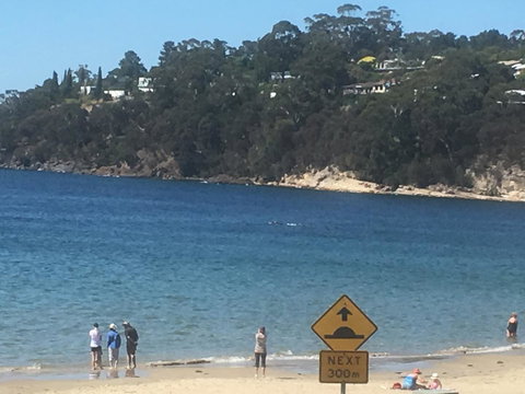 The Ultimate Beach House - Holiday Find 2