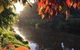 Forth River Cottage - thumb 4