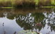 Tyenna River Cottages - thumb 13