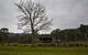 Tyenna River Cottages - thumb 23