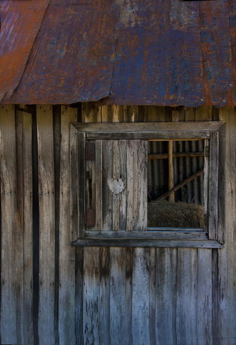 Tyenna River Cottages - Holiday Find 28