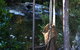 Tyenna River Cottages - thumb 5