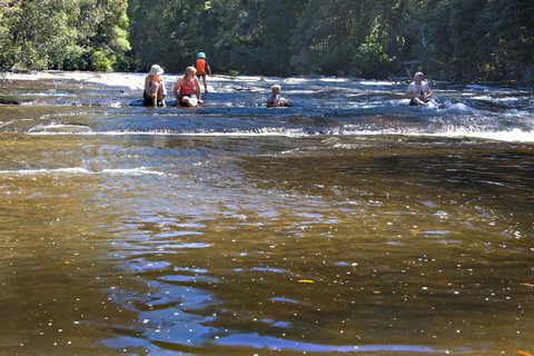 Tyenna River Cottages - Holiday Find 9