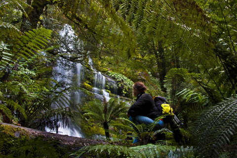 Tyenna River Cottages - Holiday Find 3